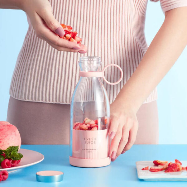 Mini Portable Blender Electric Fruit Juicer